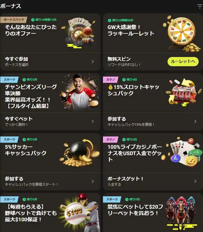その他のボーナスとプロモーションのオプション